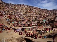 Tapeta National Geographic 615.jpg